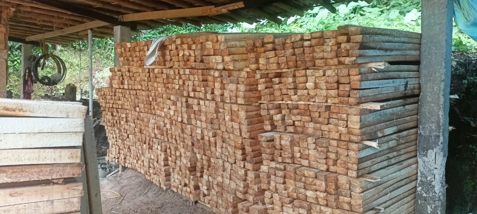 Teknik Pemotongan yang Benar